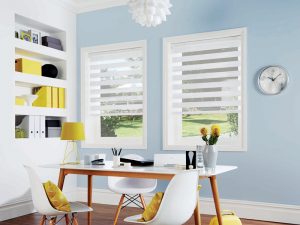 Vision blinds