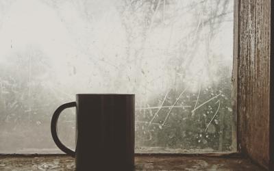 4 Winter Window Trends To Lift Your Mood