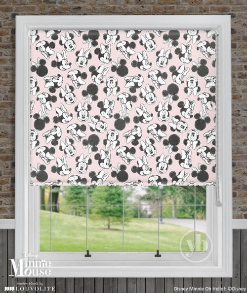 1.Disney-Minnie-Oh-Hello-window