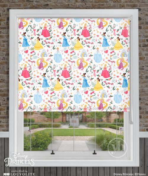1.Disney-Princess-window