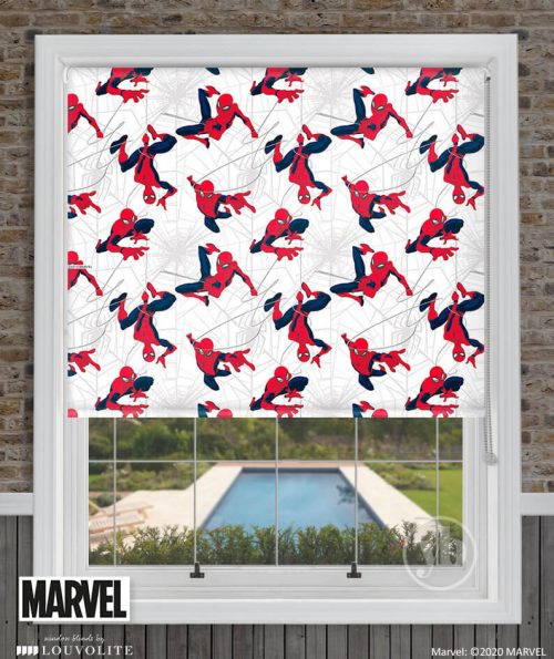 1.Disney-Spider-Man-window