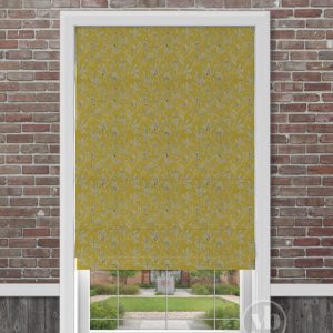 Melrose Sunflower
