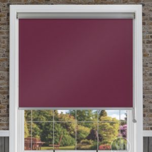 Palette Grape