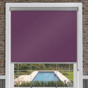 Palette Iris