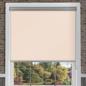Palette Magnolia