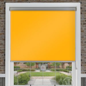 Palette Mango