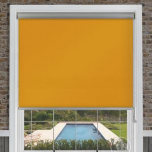 Polaris Mustard Yellow