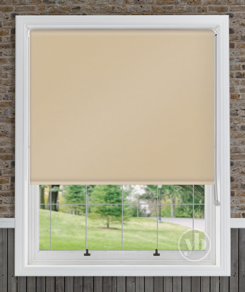 1.Palette-Biscotti-window