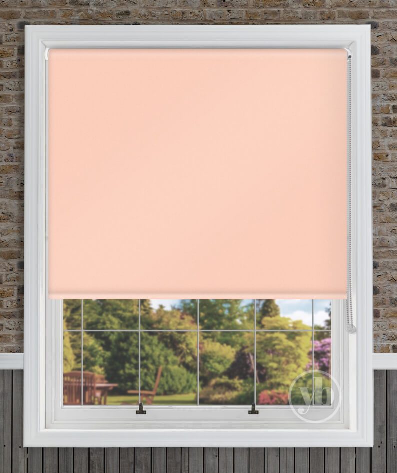 1.Palette-Dusky-Pink-window
