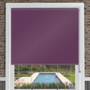 Palette Iris