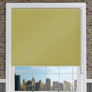Palette Lime