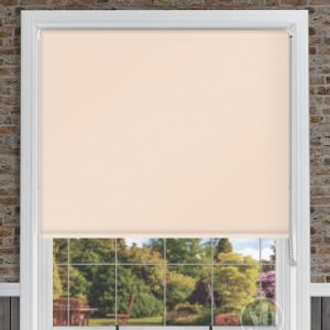 Palette Magnolia