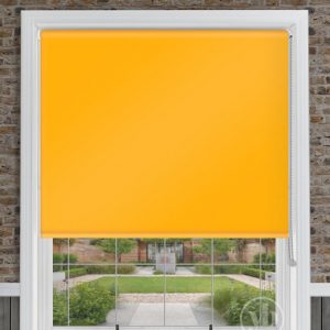 Palette Mango