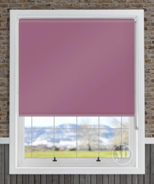 1.Polaris-Blackout-Raspberry-window
