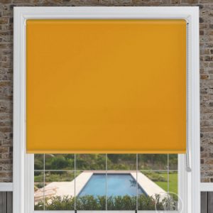 Polaris Mustard Yellow