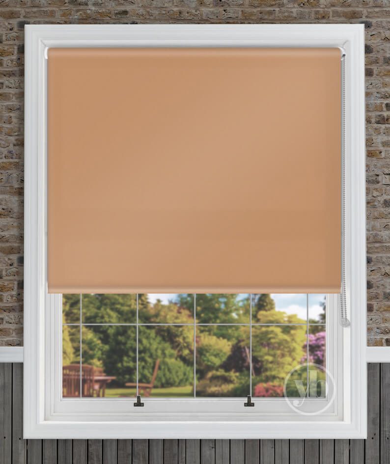 1.Polaris-Ochre-window