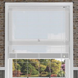 Anise Perforated