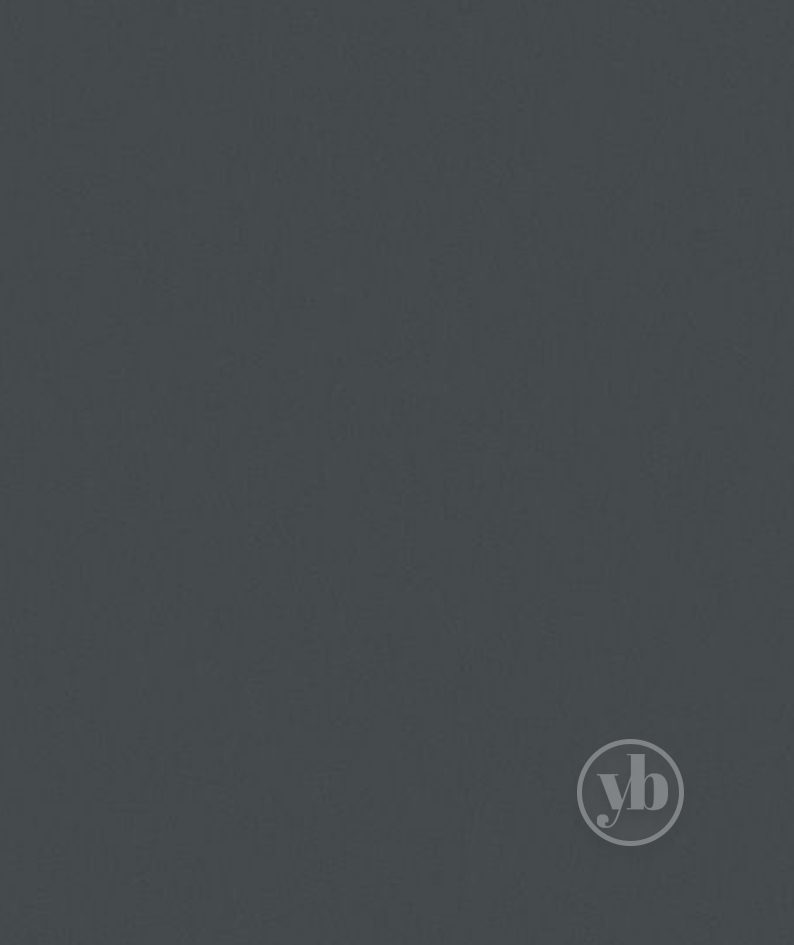 2.Banlight-Duo-FR-Anthracite-pattern