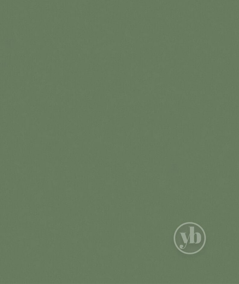 2.Banlight-Duo-FR-Forest-Green-pattern