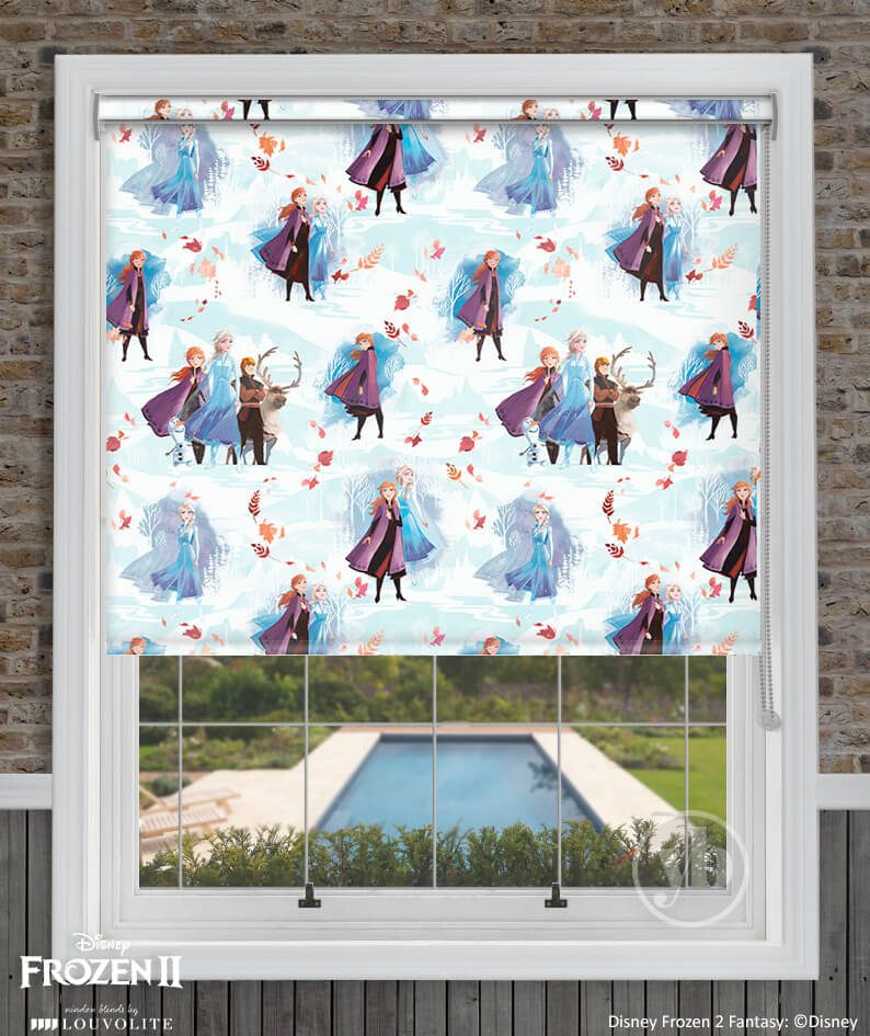 2.Disney-Frozen-II-Fantasy-window-cass