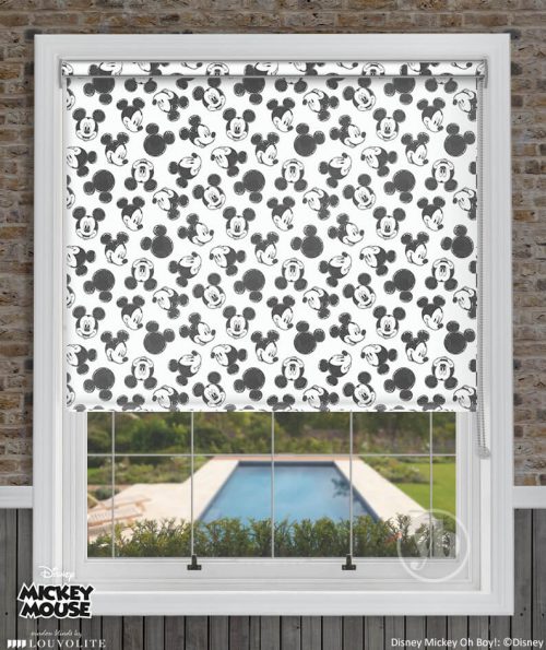 2.Disney-Mickey-Oh-Boy-window-cass