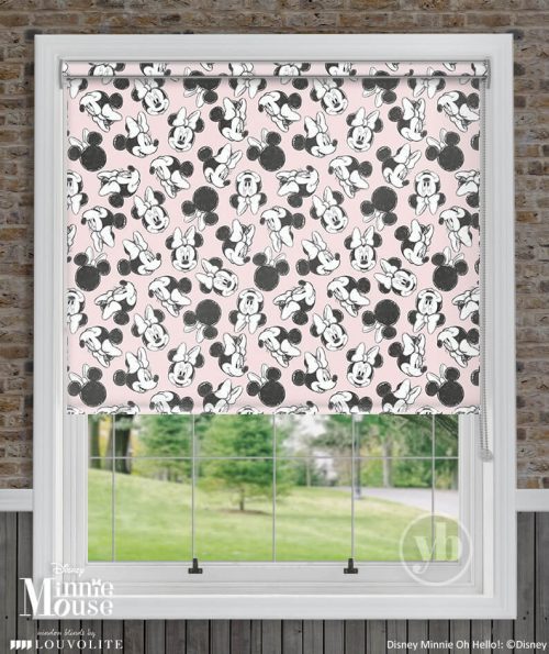 2.Disney-Minnie-Oh-Hello-window-Cass