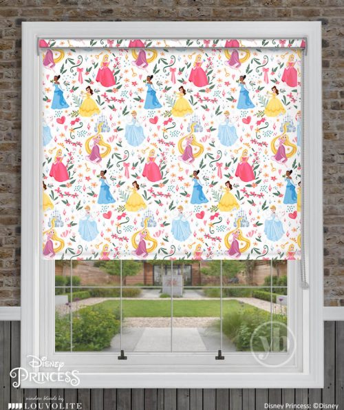 2.Disney-Princess-window-cass