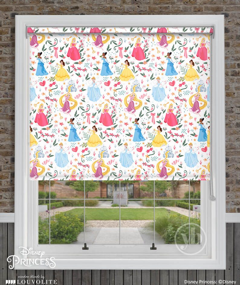 2.Disney-Princess-window-cass
