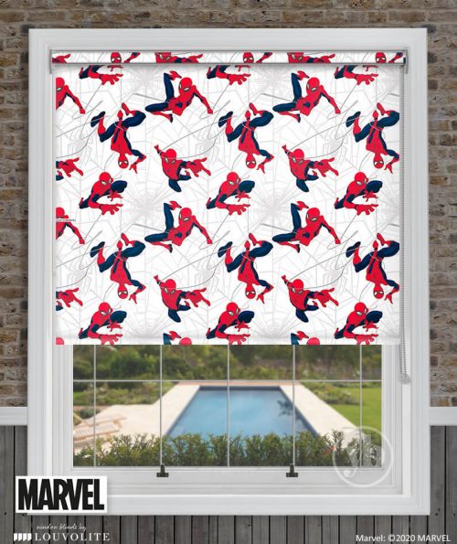2.Disney-Spider-Man-window-cass
