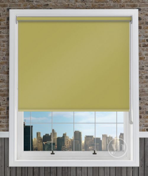 2.Palette-Lime-Green-Cass