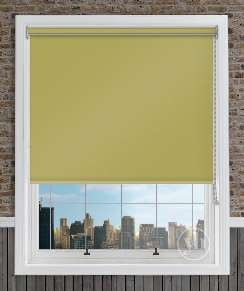 2.Palette-Lime-Green-Cass