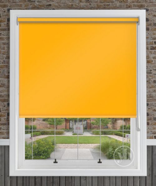 2.Palette-Mango-Cass