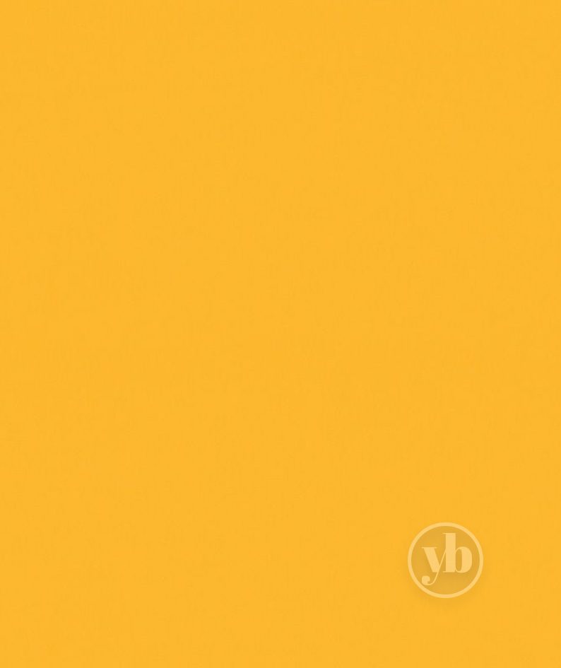 2.Palette-Mango-pattern