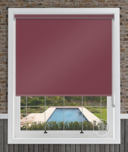 2.Palette-Plem-Cass