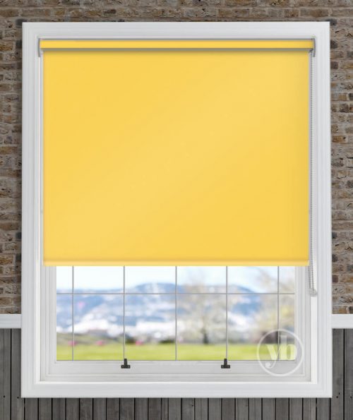 2.Palette-Sunshine-Cass
