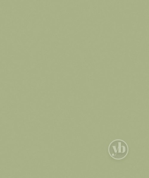 2.Polaris-Green-pattern