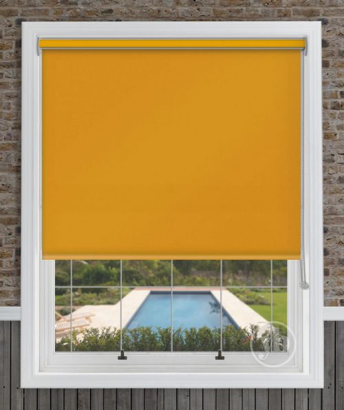 2.Polaris-Mustard-Yellow-Cass