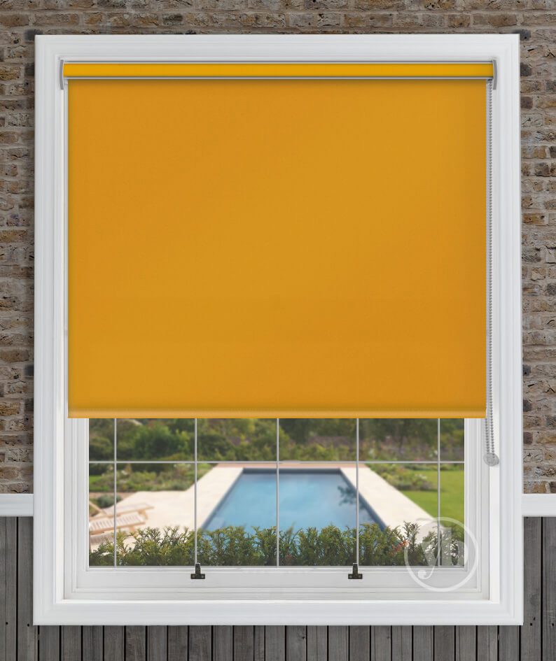 2.Polaris-Mustard-Yellow-Cass