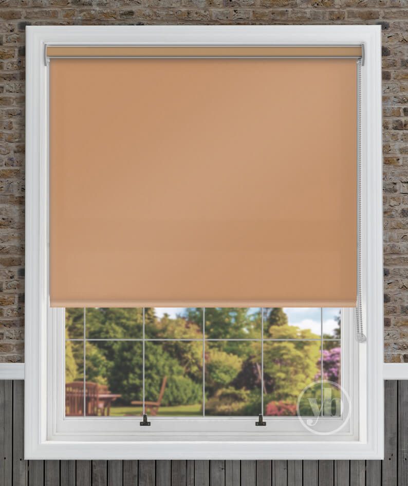 2.Polaris-Ochre-Cass