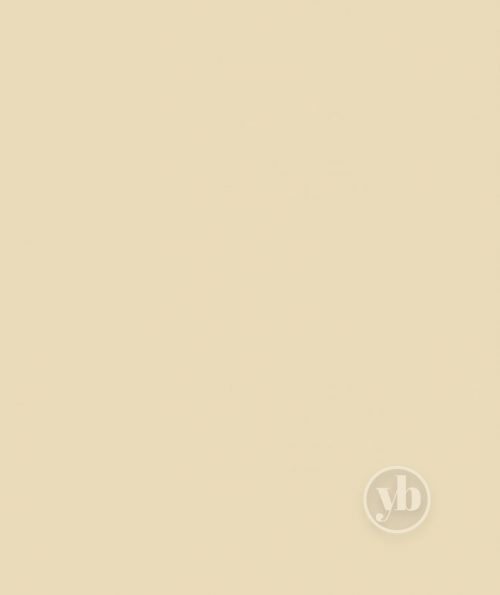3.Atlantex_Beige_RE1826_1mx1m