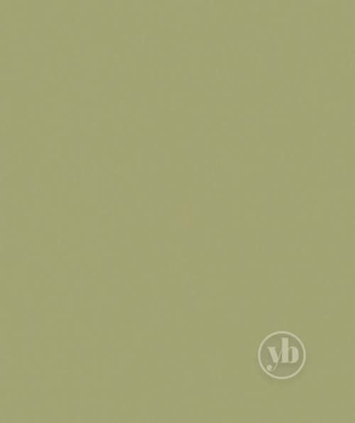 3.Banlight-Duo-FR-Green-pattern
