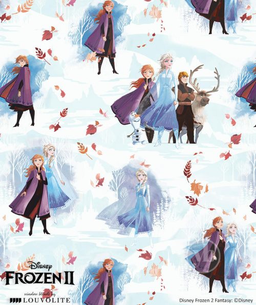 3.Disney-Frozen-II-Fantasy-small-pattern