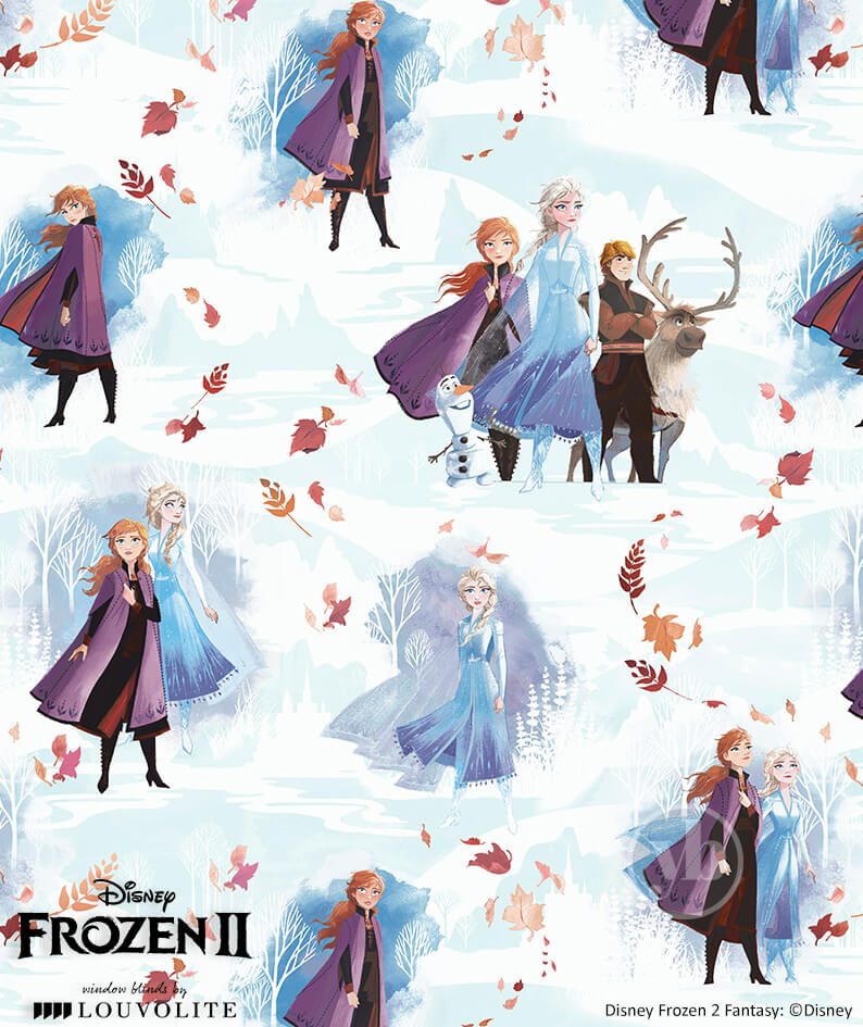 3.Disney-Frozen-II-Fantasy-small-pattern