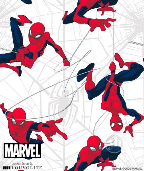 3.Disney-Spider-Man-small-pattern