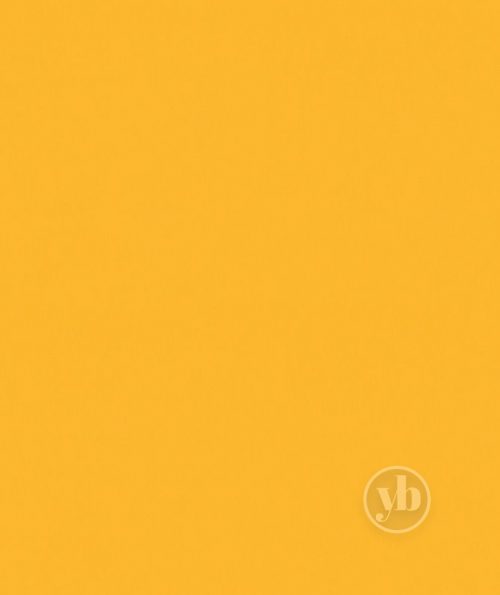 3.Palette-Mango-pattern