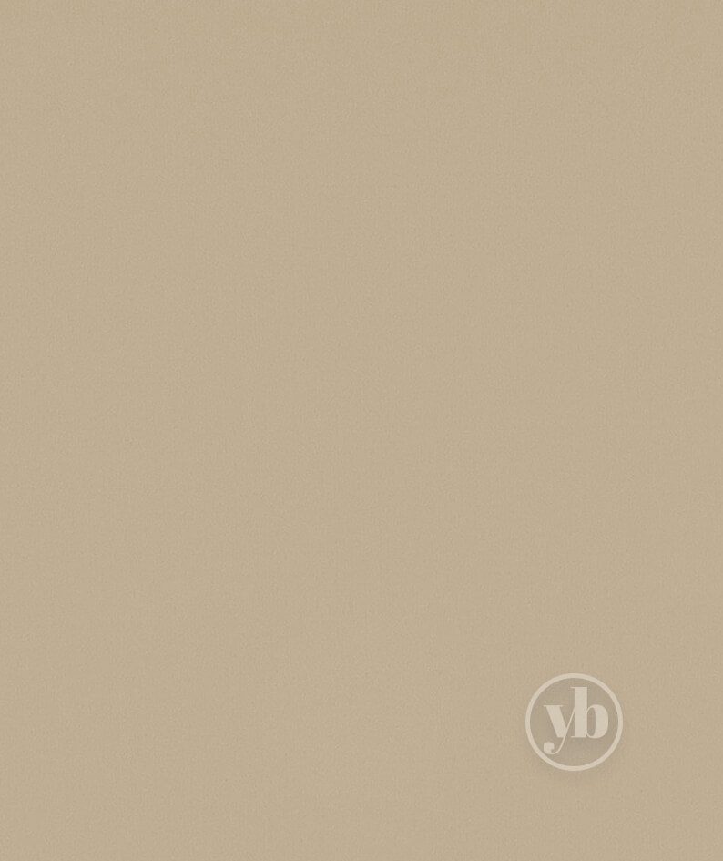 3.ROMAN_RMN0110_OASIS_CHAMPAGNE