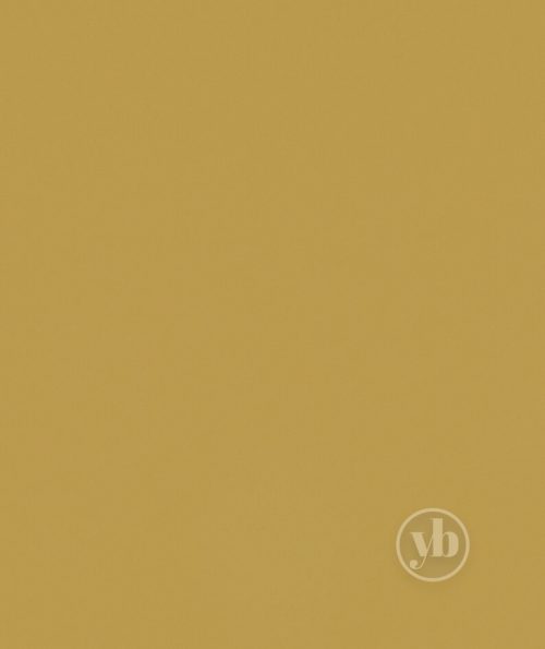 3.ROMAN_RMN0157_OASIS_MIMOSA