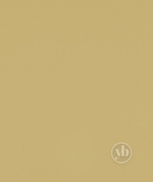 3.ROMAN_RMN0171_OASIS_BUTTERCUP