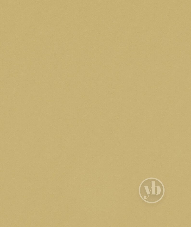3.ROMAN_RMN0171_OASIS_BUTTERCUP