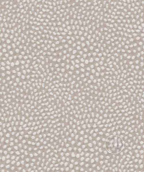 3.ROMAN_RMN1204_KOMODO_NOUGAT
